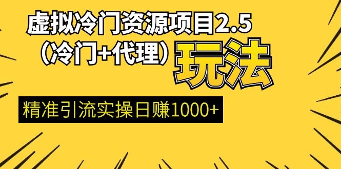 （1185期）虚拟冷门资源项目2.5（冷门&代理玩法） 精准引流实操日赚1000+(更新中)-副业宝典