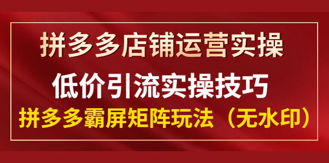 （1342期）拼多多店铺运营实操，低价引流实操技巧，拼多多霸屏矩阵玩法（无水印）-副业宝典