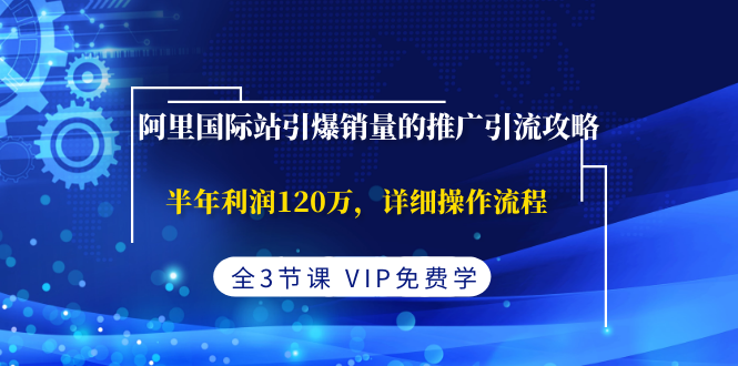 （1374期）阿里国际站引爆销量的推广引流攻略，半年利润120万，详细操作流程(全3节课)-副业宝典