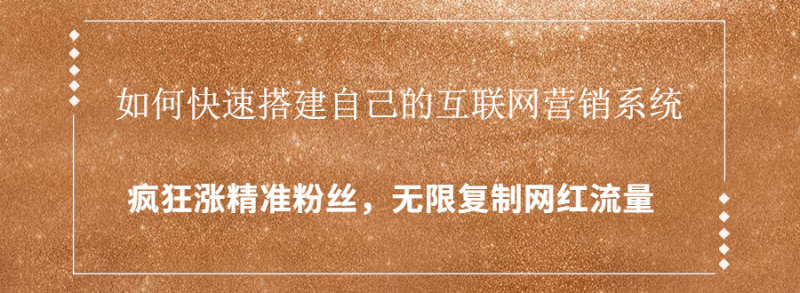 （1427期）如何快速搭建自己的互联网营销系统，疯狂涨精准粉丝，无限复制网红流量-副业宝典