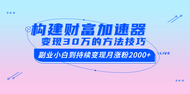 （1461期）构建财富加速器，副业小白到持续变现月涨粉2000+，变现30万的方法技巧-副业宝典