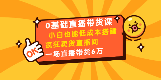 （1472期）0基础直播带货课：小白也能低成本搭建疯狂卖货直播间：1场直播带货6万-副业宝典