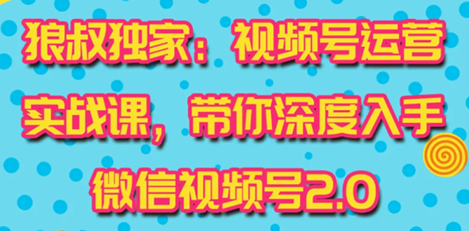 （1521期）视频号运营实战课2.0，目前市面上最新最全玩法，快速吸粉吸金（10节视频）-副业宝典