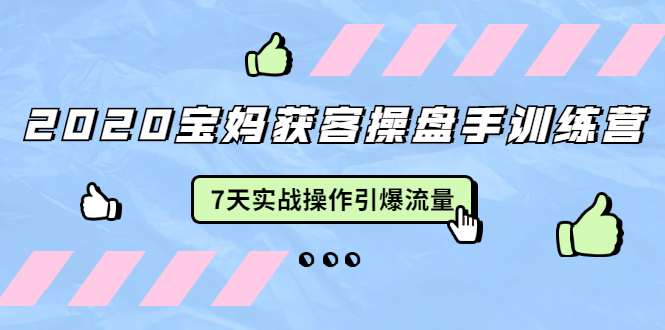 （1542期）2020宝妈获客操盘手训练营：7天实战操作引爆 母婴、都市、购物宝妈流量-副业宝典