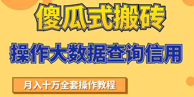 （1538期）傻瓜式搬砖操作大数据查询信用赚钱方法：助你快速月入6万全套操作教程-副业宝典