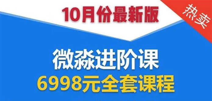 （1553期）微淼理财进阶课全套视频：助你早点实现财务自由，理论学习+案例分析+实操-副业宝典