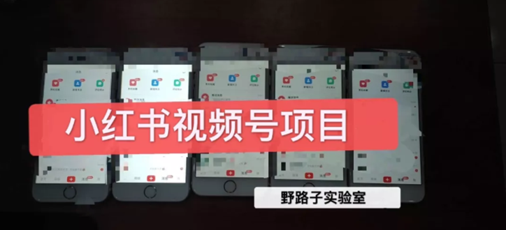 （1566期）野路子小红书课程月入过万：直接上手操作就能赚钱的视频号项目 可长久操作-副业宝典