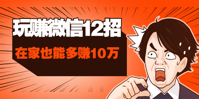 （1577期）玩赚微信12招：这样玩微信，手把手教你没钱没人脉在家也能多赚10万-副业宝典
