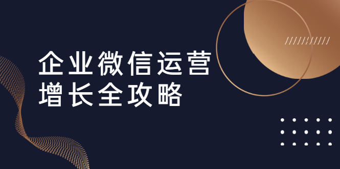 （1625期）企业微信运营增长全攻略：引流+裂变+运营+成交（16节体系课）-副业宝典