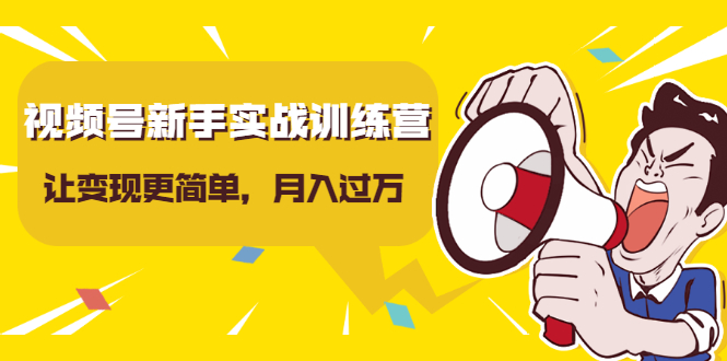 （1627期）视频号新手实战训练营，让变现更简单，玩赚视频号，轻松月入过万-副业宝典