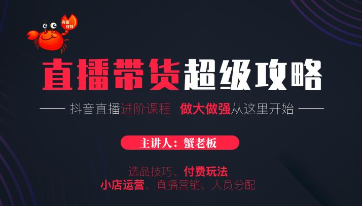 （1712期）抖音直播带货超级攻略：抖音直播带货的详细玩法，小店运营、付费投放等-副业宝典