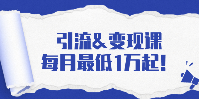 （1721期）引流&变现课：分享一整套流量方法以及各个渠道收入，每月最低1万起！-副业宝典