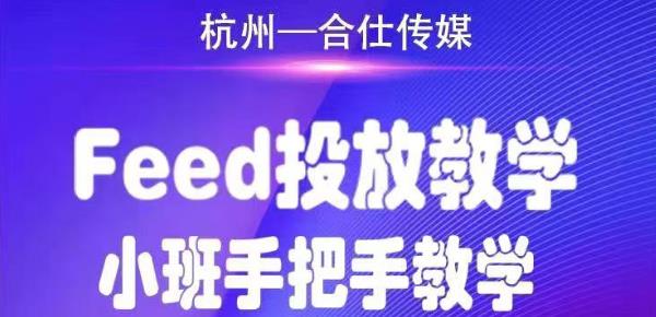 （1749期）合仕传媒Feed投放教学，手把手教学，开车烧钱必须自己会！-副业宝典