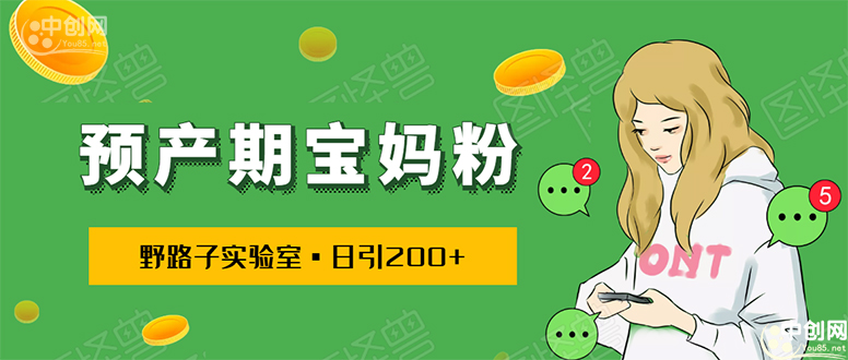 （1725期）日引200+预产期宝妈，从预产期到K12教育持续转化…操作方法简单-副业宝典
