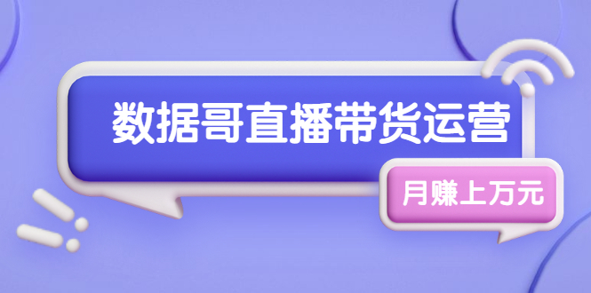 （1761期）数据哥直播带货运营线上进阶课，让普通人也能靠直播月赚上万元-副业宝典