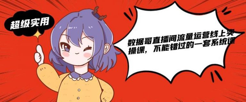 （1866期）数据哥直播间流量运营线上实操课，不能错过的一套系统课-副业宝典