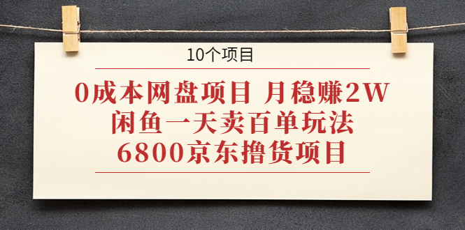 （1928期）0成本网盘项目 月稳赚2W+闲鱼一天卖百单玩法+6800京东撸货项目 (10个项目)-副业宝典