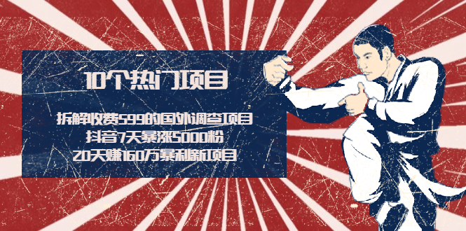 （1938期）拆解收费599的国外调查项目+抖音7天暴涨5000粉+20天赚160万暴利新项目-副业宝典