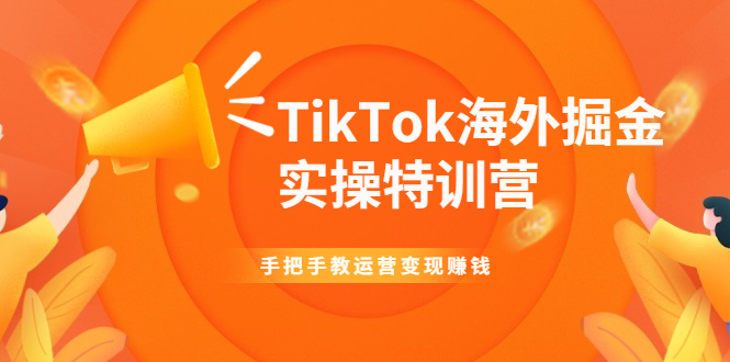 （1942期）TikTok海外掘金实操特训营：手把手教运营变现赚钱【视频课程】-副业宝典