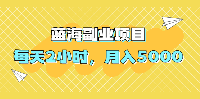 （1953期）蓝海副业项目，每天2小时，月入5000，附详细操作流程-副业宝典