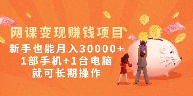 （1990期）网课变现赚钱项目：新手也能月入30000+1部手机+1台电脑就可长期操作-副业宝典