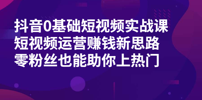 （1985期）抖音0基础短视频实战课，短视频运营赚钱新思路，零粉丝也能助你上热门-副业宝典