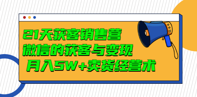 （2997期）21天获客销售营，带你微信的获客与变现  月入5W+卖货经营术-副业宝典