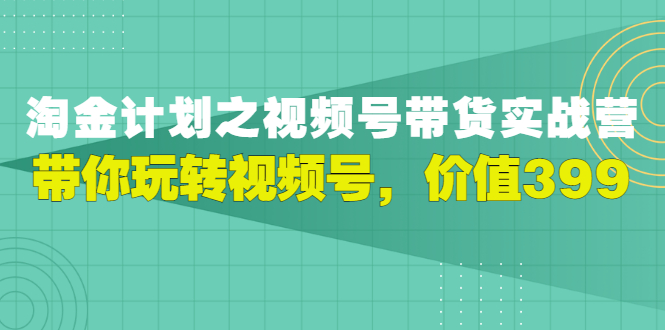 （2979期）视频号带货实战营，带你玩转视频号-副业宝典