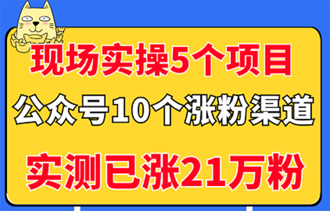 （2947期）现场实操5个公众号项目，10个涨粉渠道，实测已涨21万粉！-副业宝典