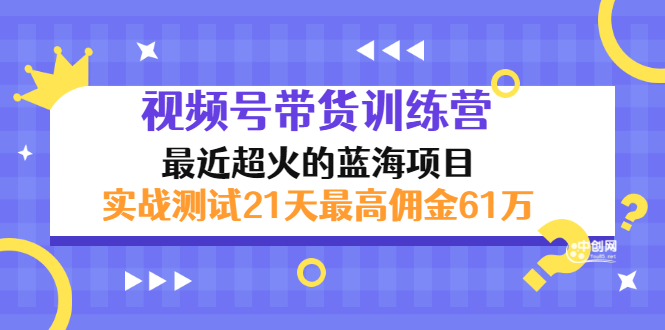 （2946期）外面收899【视频号带货训练营】最近超火：实测21天最高佣金61W(7月4日更新)-副业宝典