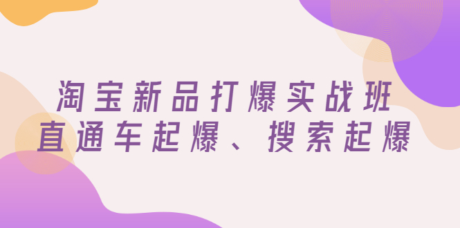 （2816期）淘宝新品打爆实战班，直通车起爆、搜索起爆（价值599元）-副业宝典
