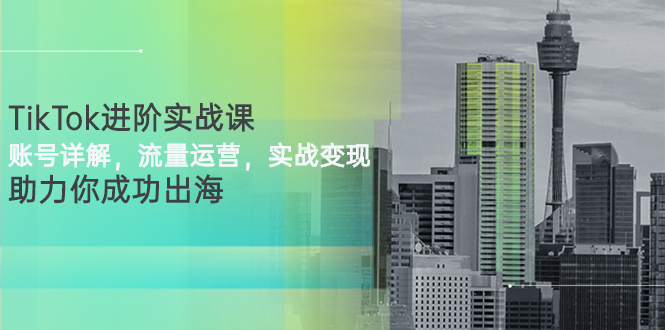 （2749期）TikTok进阶实战课：账号详解，流量运营，实战变现，助力你成功出海-副业宝典