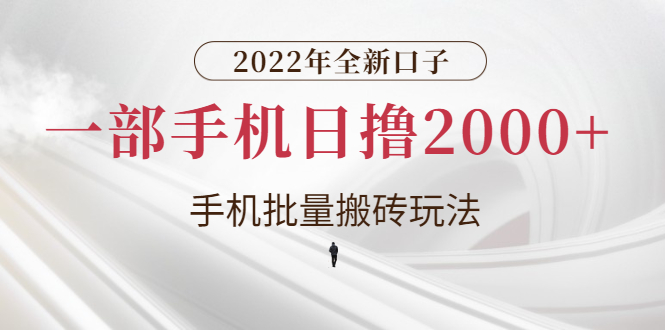 （2682期）2022年全新口子，手机批量搬砖玩法，一部手机日撸2000+-副业宝典