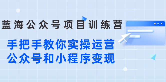 （2633期）蓝海公众号项目训练营，手把手教你实操运营公众号和小程序变现-副业宝典