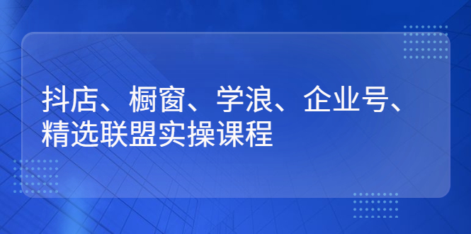 （2640期）抖店、橱窗、学浪、企业号、精选联盟实操课程-副业宝典
