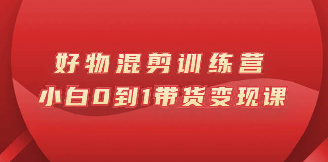 （2598期）万三好物混剪训练营：小白0到1带货变现课-副业宝典
