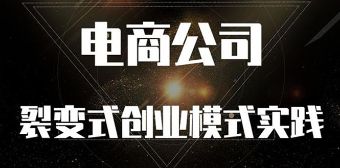 （2562期）《电商公司裂变式创业模式实践》开拓更多项目 赚更多的钱-副业宝典