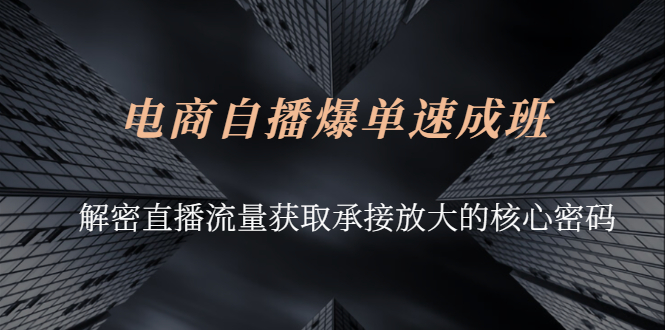 （2584期）电商自播爆单速成班：解密直播流量获取承接放大的核心密码-副业宝典