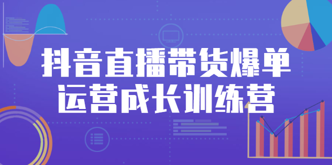 （2559期）抖音直播带货爆单运营成长训练营，手把手教你玩转直播带货-副业宝典