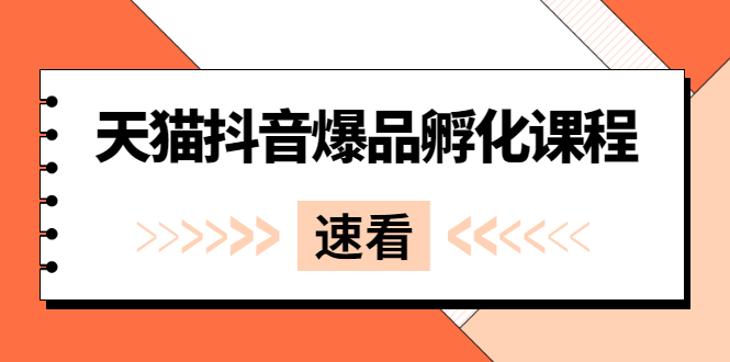 （2529期）《天猫抖音爆品孵化课程》独家绝密新品引爆法-副业宝典