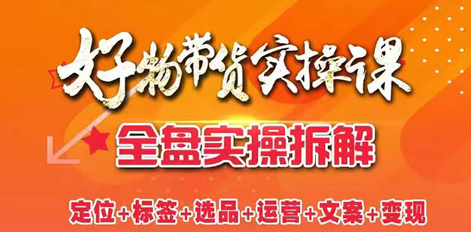 （2550期）抖音好物带货实操课：全盘拆解抖音好物带货号全套流程打法-副业宝典