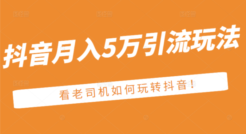 （2486期）某公众号付费文章：抖音月入5万引流玩法，看看老司机如何玩转抖音-副业宝典