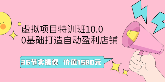 （2497期）虚拟项目特训班10.0，0基础打造自动盈利店铺 36节实操课-副业宝典