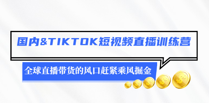 （2478期）国内&TIKTOK短视频直播训练营，全球直播带货的风口赶紧乘风掘金-副业宝典