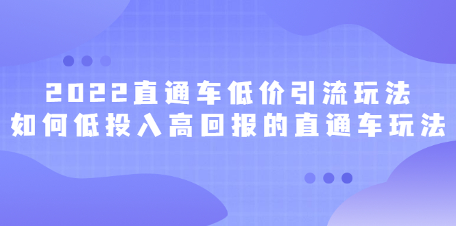 （2415期）2022直通车低价引流玩法，教大家如何低投入高回报的直通车玩法-副业宝典