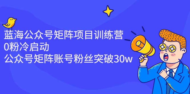 （2405期）蓝海公众号矩阵项目训练营，0粉冷启动，公众号矩阵账号粉丝突破30w-副业宝典
