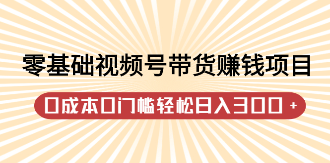 （2414期）零基础视频号带货赚钱项目，0成本0门槛轻松日入300+【视频教程】-副业宝典