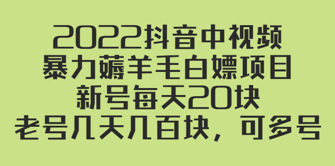 （2402期）2022抖音中视频暴力薅羊毛白嫖项目：新号每天20块，老号几天几百块，可多号-副业宝典