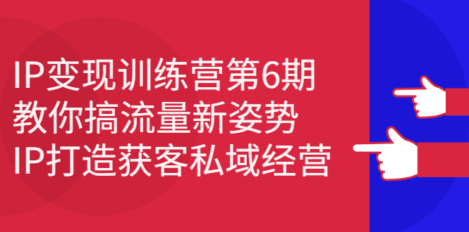 （2351期）IP变现训练营第6期：教你搞流量新姿势，IP打造获客私域经营-副业宝典
