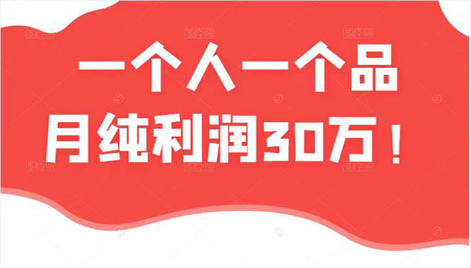 （2343期）某公众号付费文章：一个人一个品月纯利润30万的蓝海电商经典案例！-副业宝典